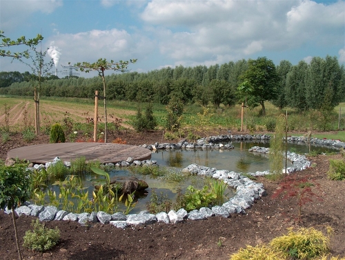 project_lent_20151008_1892647948